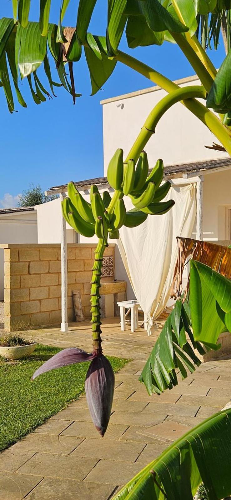 Tenuta Puloni Otranto Exterior foto